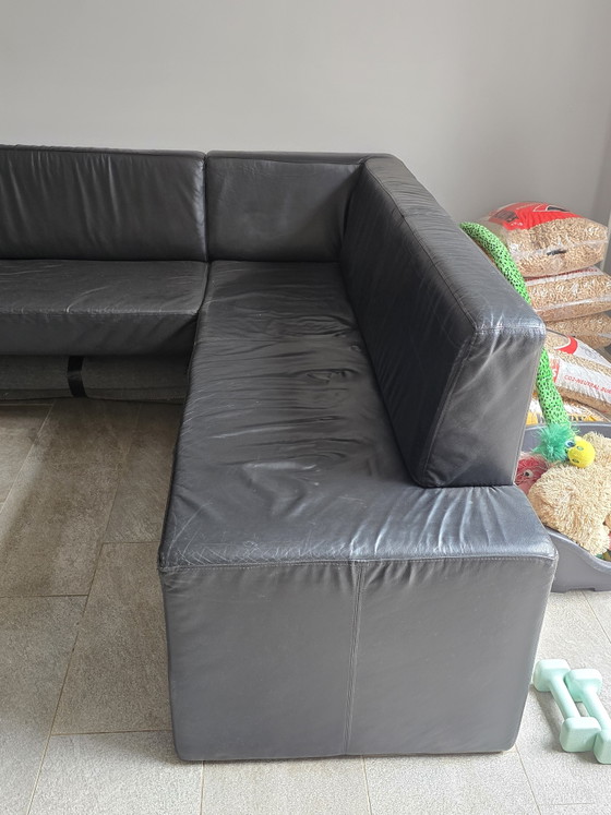 Panca da Pranzo in Pelle di Vacca. – Divani angolari, Leather (photo 3 of 5)