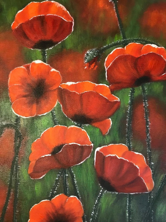 Image 1 of Pintura al óleo - Irina Gauss - Amapolas en verano