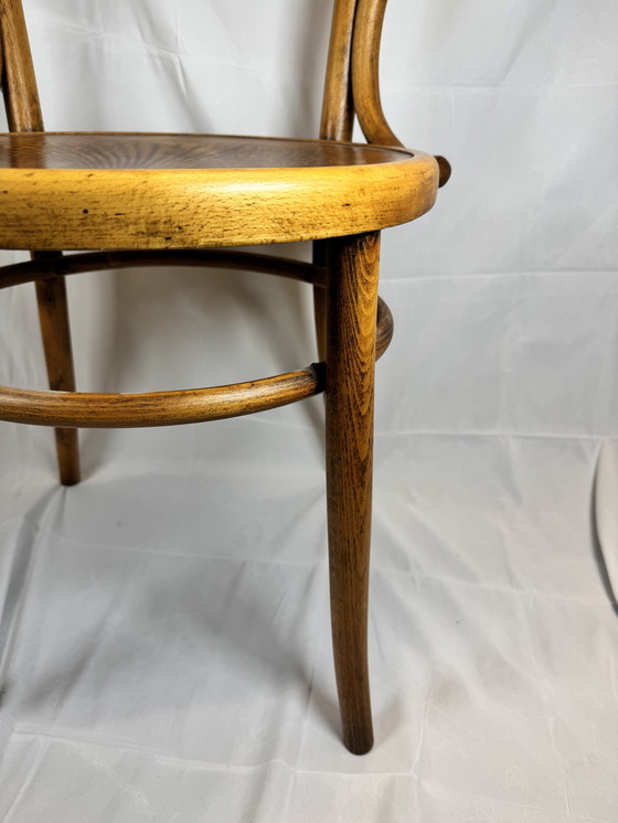 Image 1 of Original Fischel armchair - bentwood - Art Nouveau - Czechoslovakia