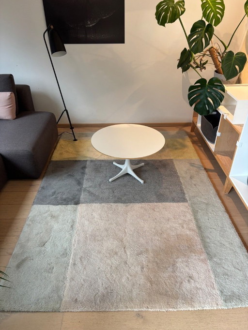 Hay colour carpet 05 rug 170x240 new price 1350 euros