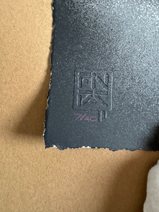 Image 1 of FIN DAC – Haiconca (Rosa) - Edizione /40 – Firmato a mano e numerato - COA