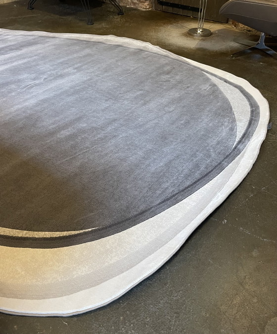 Image 1 of Pode Shallow carpet color Mud 280 x 380