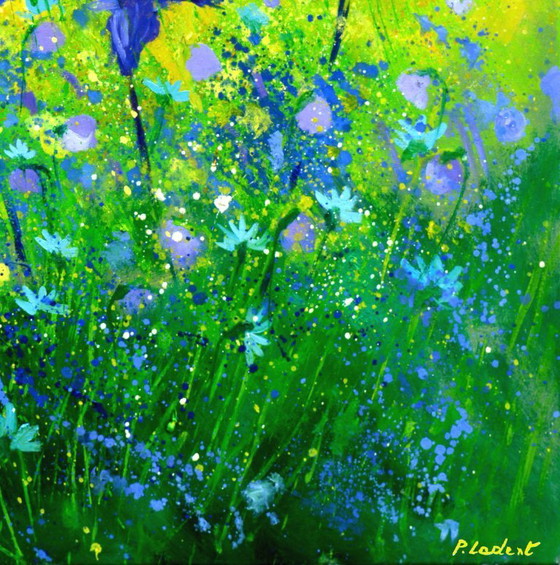 Image 1 of Cornflowers