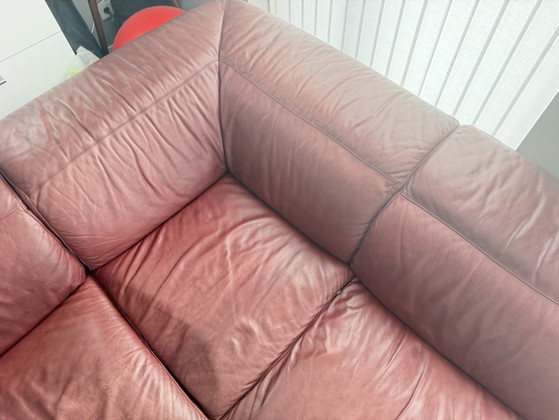 Divano Natuzzi – Divani angolari, Leather, Metal (photo 7 of 7)