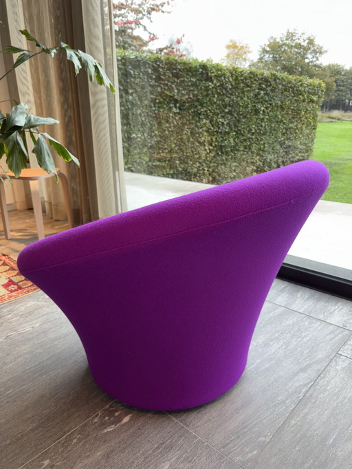 Fungo Artifort in Divina 666