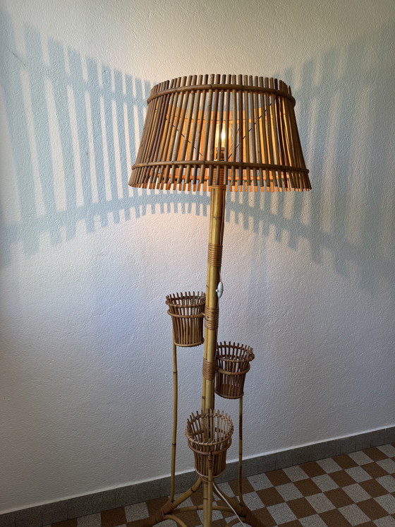 Image 1 of Lámpara de pie con soporte para plantas de ratán de los años 50