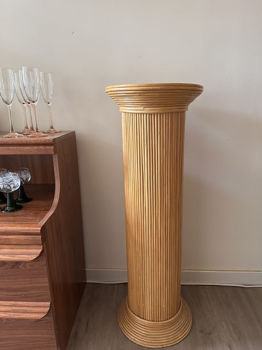 Bamboo plant column