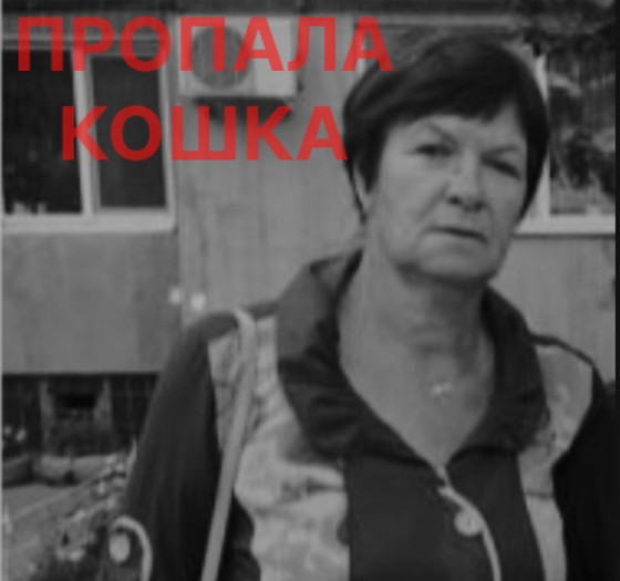 Image 1 of Pokemon4ic sosal