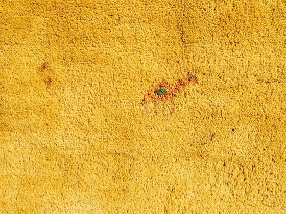 Image 1 of Large contemporary oriental Gabbeh carpet (306 x 207)