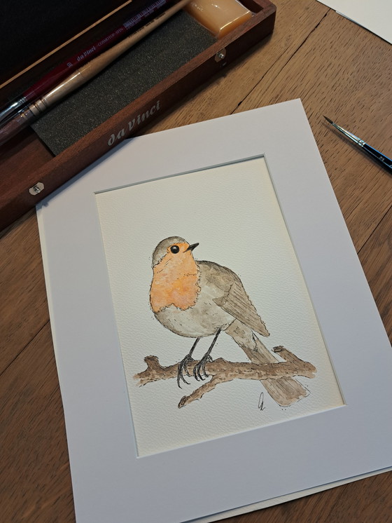 Image 1 of Watercolor painting of a robin | Blacklist