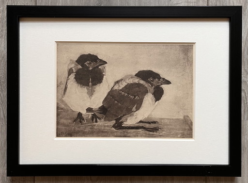 Jan Mankes 1889-1920 / Héliogravure originale 2 jeunes pies 1923