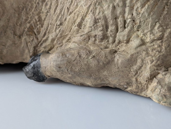 Image 1 of Pair of Large Stucco Sheep Sculptures, Early 20th Century, Farm Animals