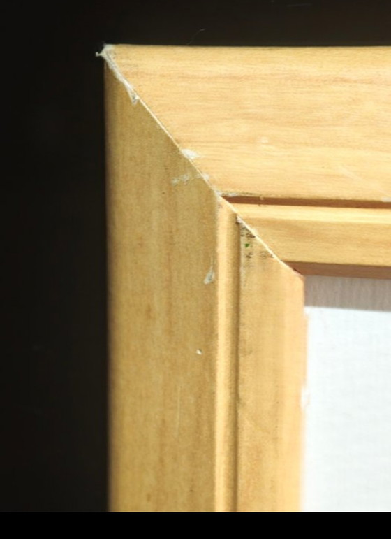 Image 1 of Sale el Toro frame, Monzón