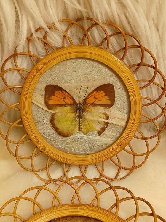 Image 1 of Sottobicchieri vintage in bambù con farfalle