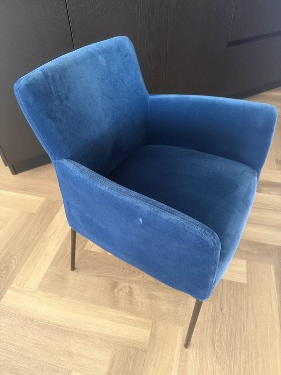 Image 1 of 6x Just Chair. Blauer Samt