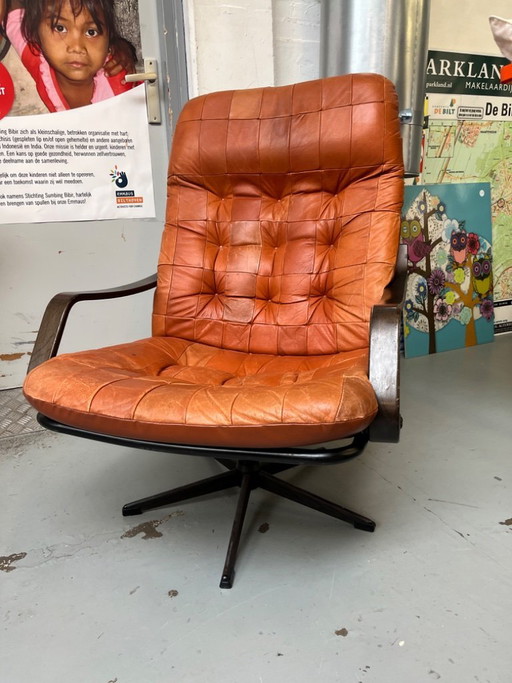 Mid-century vintage design Göte Möbler of De Sede draaistoel