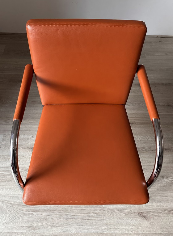 Image 1 of 8 sillas de comedor de diseño Vitra Visasoft
