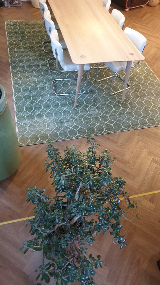 Image 1 of Rug from Brinker, Laatz army green