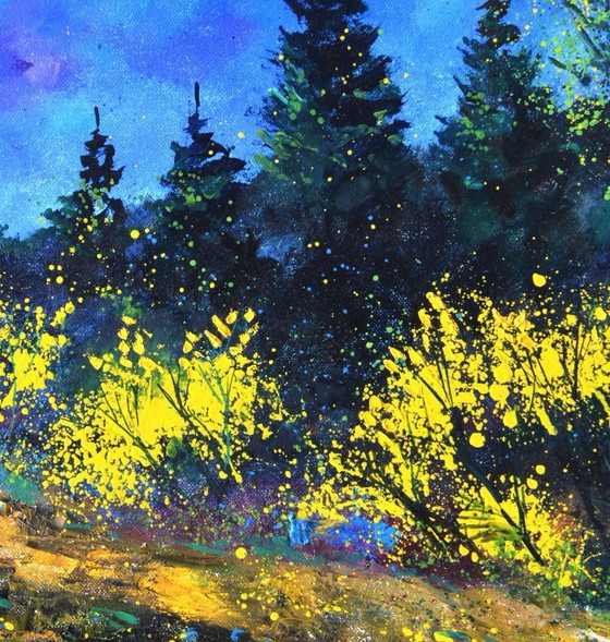 Image 1 of Yellow brooms