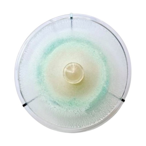 Lampada da parete vintage soffiata a mano, anni '80