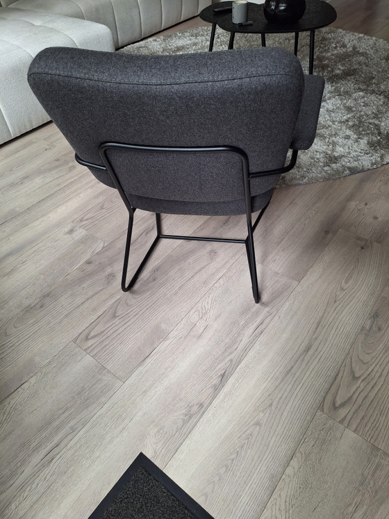 Bert Plantagie Kiko Poltrona – Poltrone, Other, Metal (photo 2 of 5)
