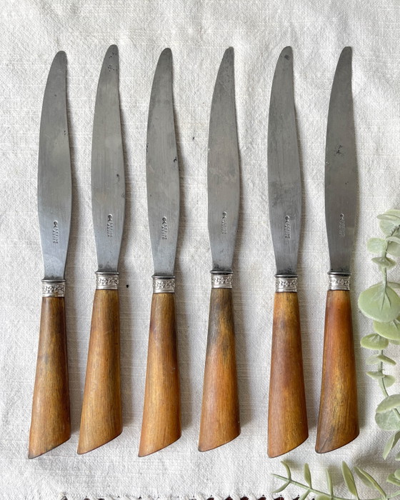 6 Coltelli Vintage Manico Corno e Argento, Lama Acciaio, LEPINE A LYON Francia, XIX Secolo (photo 6 of 10)