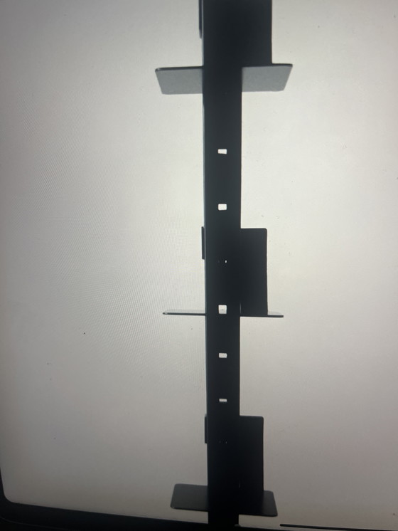 Image 1 of Boeken Totem Reinoud Van Hasselt