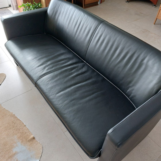 Image 1 of 2 sofás Leolux Fiabo de 2,5 plazas