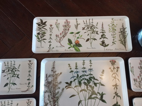 Image 1 of Vassoi botanici del marchio italiano Van Mebel (22)