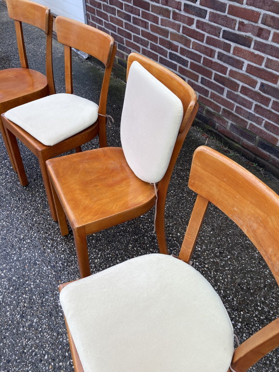 14 sedie Frankfurter anni '50-'60 – Taunus-Stabil, Sedie da pranzo, Textile, Wood (photo 3 of 5)