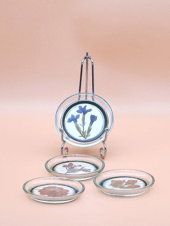 Image 1 of Sottobicchieri in vetro vintage con veri fiori secchi - Set da 4