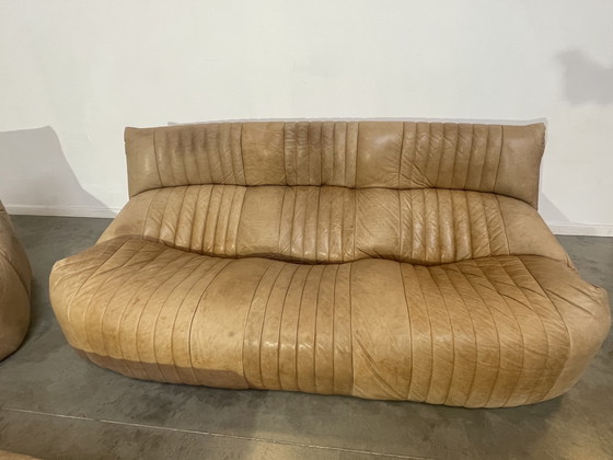 Image 1 of Ligne Roset Model Aralia For Michel Ducaroy sofa