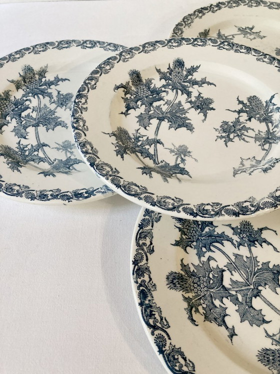 Image 1 of 4 Clairefontaine Ironstone Plates, Righi Pattern