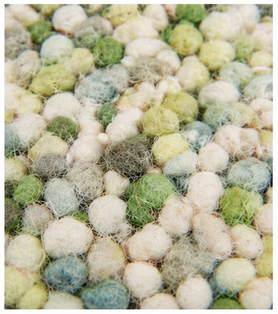 Image 1 of Brink & Campman Pebble vloerkleed – 140 x 200 cm | Nieuwstaat | Wol | Design