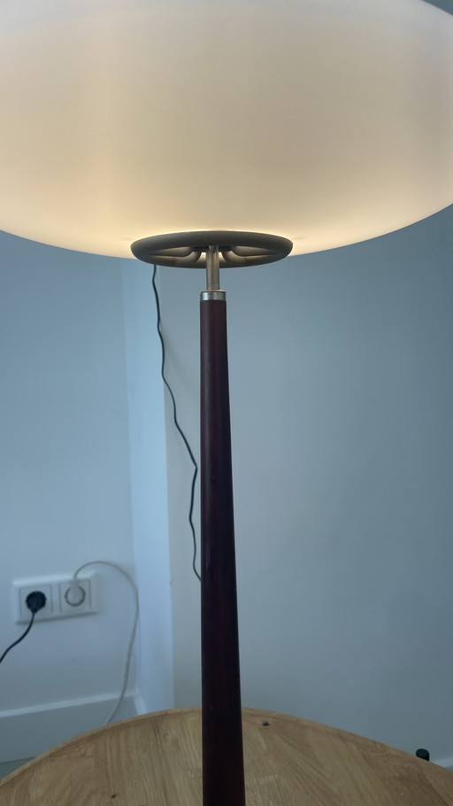 PAO T2 Arteluce table lamp