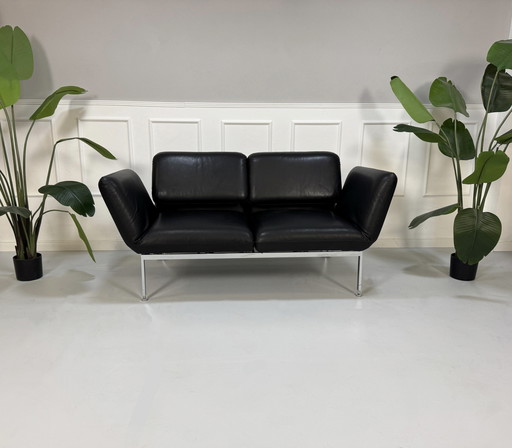 Brühl Roro Small Designer Leder Schwarz Sofa Schlafsofa Couch