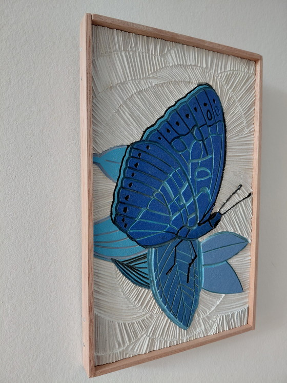 Image 1 of Galería "Alas Azules Luz Blanca" Suncorner