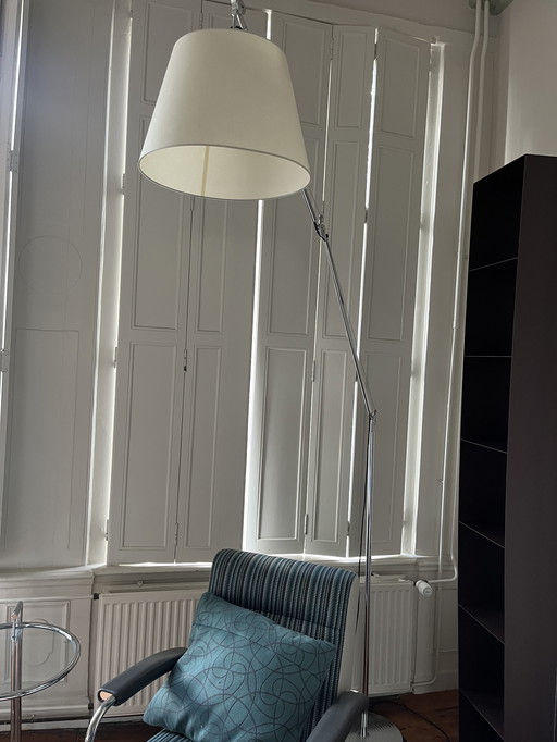 Artemide Tolomeo Mega Terra Vloerlamp