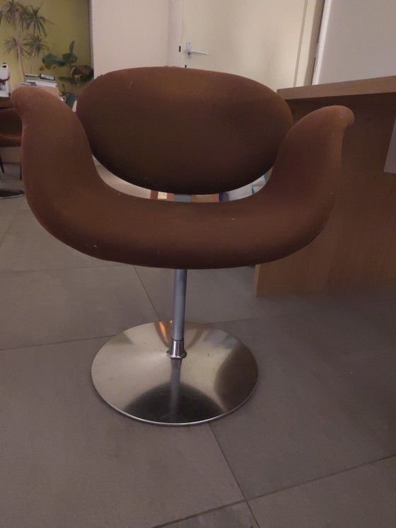 Image 1 of Sedia Artifort Tulip marrone. Comoda. Un po' rovinata. Possibilità di rivestimento.