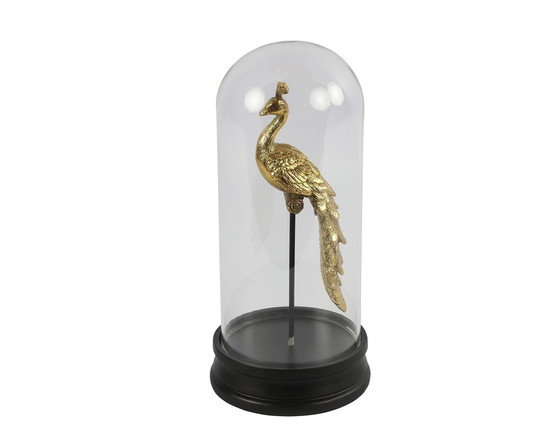 Image 1 of Golden Peacock Ornament Under Glass Bowl