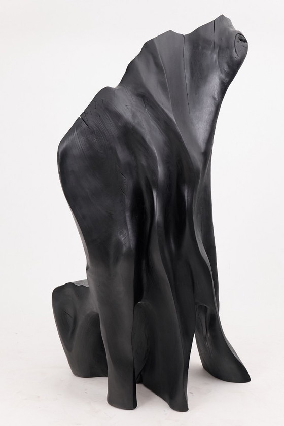 Image 1 of Fauteuil trône en bois noir carbonisé aux formes organiques par Logniture
