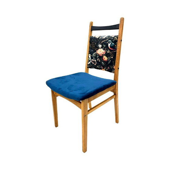 Image 1 of Sedia "Rostock" – VEB Vereinigte Sitzmöbelindustrie Neuhausen, DDR 1960–1975 | faggio | dopo la ristrutturazione