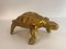 Messing schildpadsculptuur – Beeldhouwkunst, Brass (photo 5 of 9)