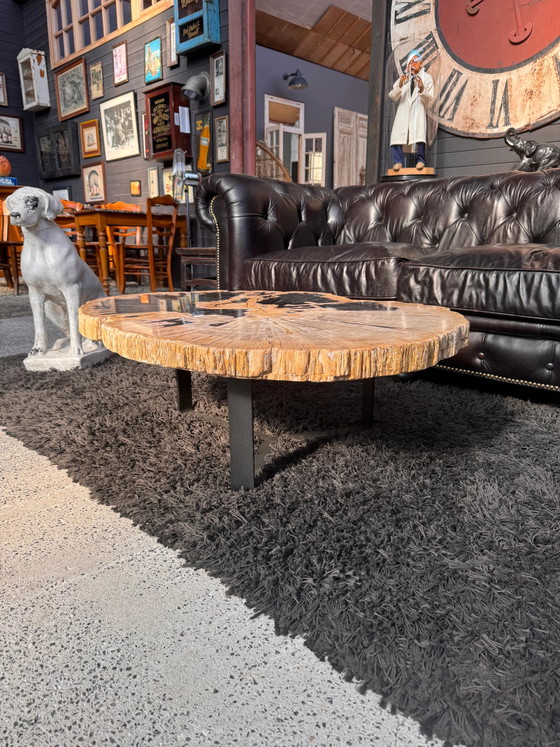 Petrified wood coffee table (photo 4 of 4)