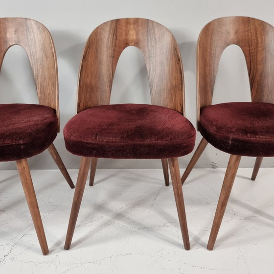 Image 1 of Chaises vintage d'Antonin Suman, années 1960, lot de 4