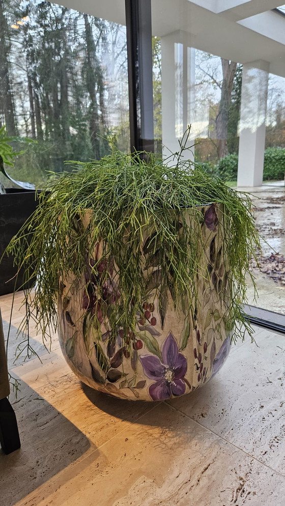 Image 1 of Große, schöne Pflanzen als Ersatz für das Weihnachtsgrün