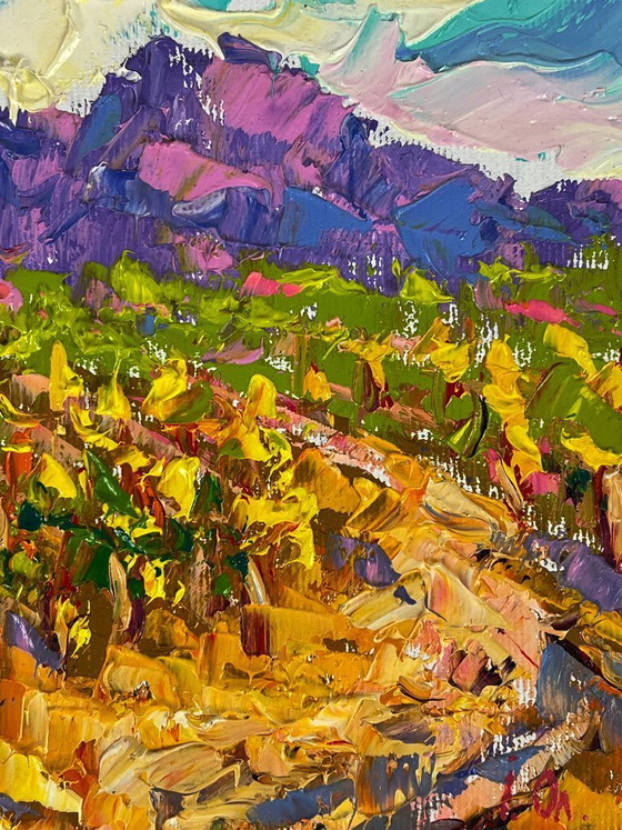 Image 1 of Vineyards near the Mountains