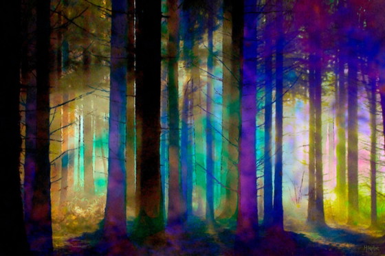 Image 1 of MikoArt-Giclée-02/Series-150x100cm-0025