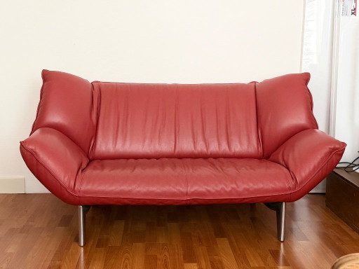 Leolux Tango Design Sofa rotes Leder (2-Sitzer)