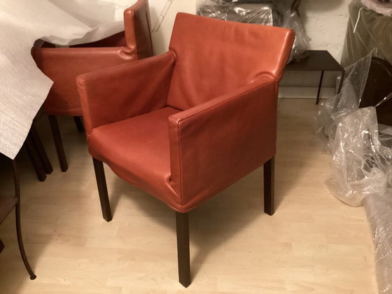 Image 1 of 6 sedie da pranzo in pelle di Gerard van den Berg, modello Fellini